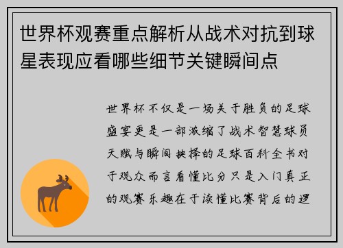 世界杯观赛重点解析从战术对抗到球星表现应看哪些细节关键瞬间点